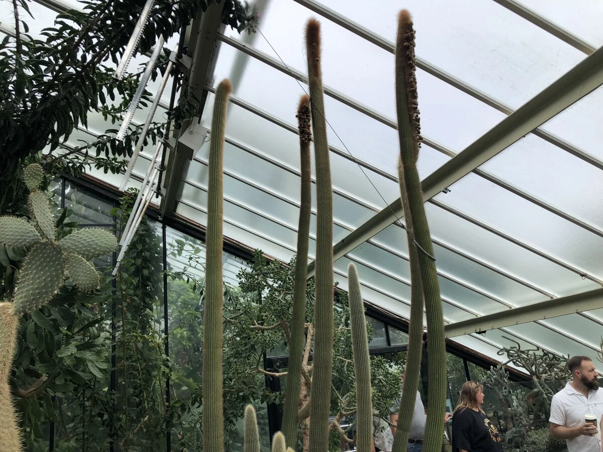 2025-London-Londen-伦敦